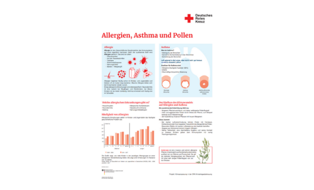 DRK-Infoblatt Allergien, Asthma und Pollen DRK-Infoblatt-Vorschau Allergien, Asthma und Pollen