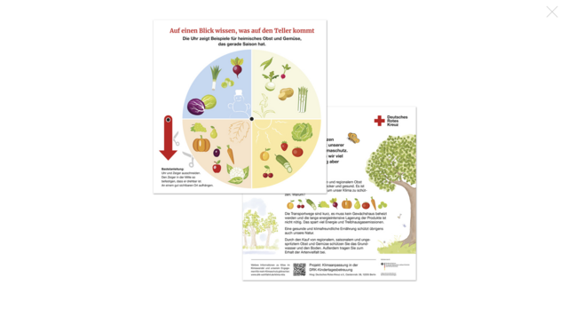 DRK Bastel- und Info-Flyer für Kinder zu saisonalem Essen Vorschau des DRK Bastel- und Info-Flyer für Kinder zu saisonalem Essen